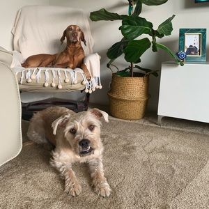 Meet your Posher, Kristina